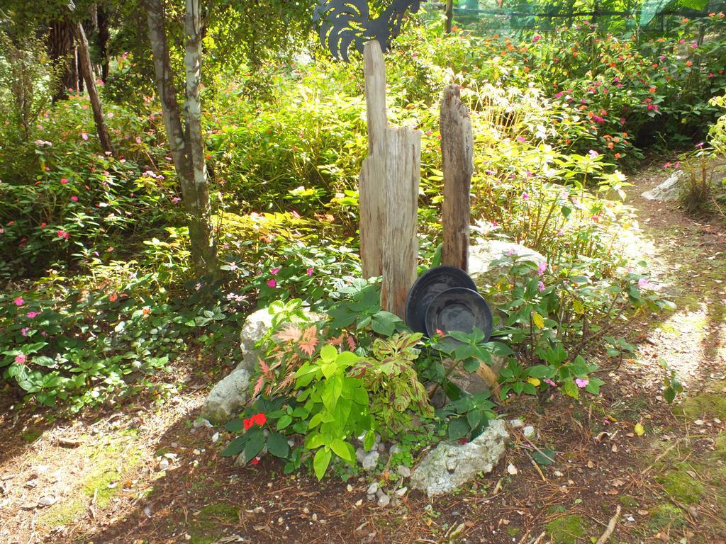 Fantail Mill - Private Waterfront Retreat Russell Villa Exteriör bild